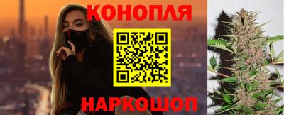сатива Волгодонск